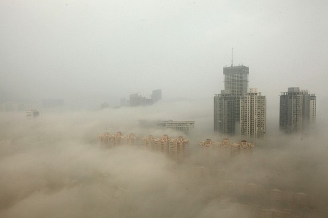 Будинки в китайському місті Ляньюньган оповиті смогом, 8 грудня 2013 року. За словами китайських дослідників, інтенсивне забруднення вбиває природні ліси Китаю