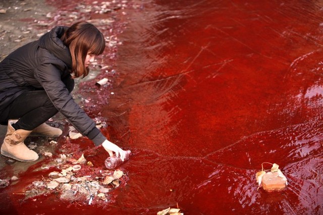 Женщина берёт образец красной загрязнённой воды, которая вытекает из канализации в реку Цзяньхэ в Лояне, что в провинции Хэнань в центральном Китае, 13 декабря 2011 года. Из-за фармацевтической фабрики деревне Далюин провинции Хэнань в воздухе ощущается кислый запах, а подземные воды стали солёными и мутными