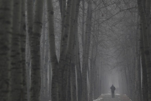 Мужчина в маске гуляет между деревьями во время сильного загрязнения в Пекине, 23 января 2013 года