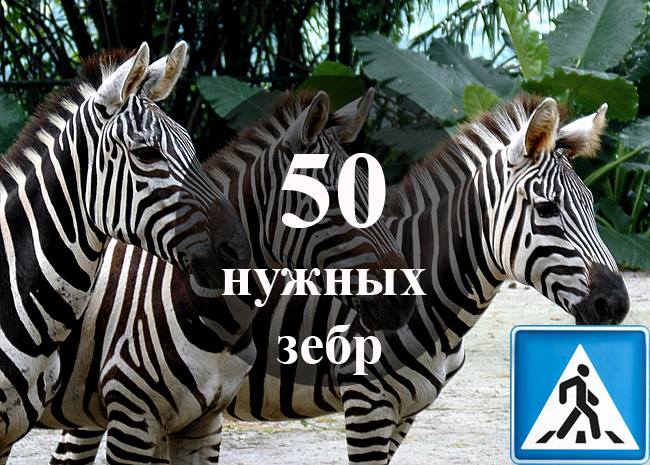 Ілюстрація: 50 нужных зерб/Facebook.com