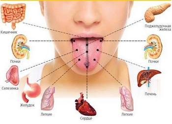 Стан різних органів нашого тіла «проектується» на відповідні ділянки язика. Фото: lady.day.az