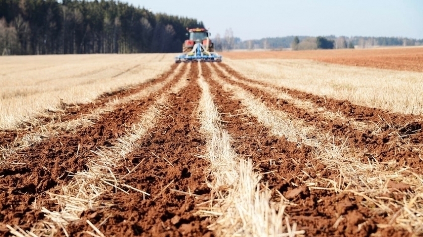 технология Strip-till