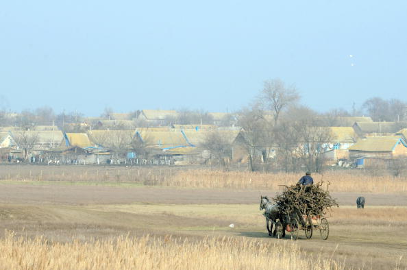 Чоловік керує возом у селі на Одещині. Фото: SERGEI SUPINSKY/AFP/Getty Images