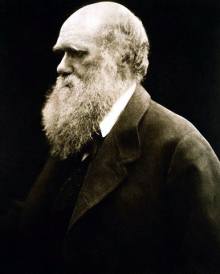 Чарльз Дарвин, автор эволюционной теории (фото: Julia Margaret Cameron)