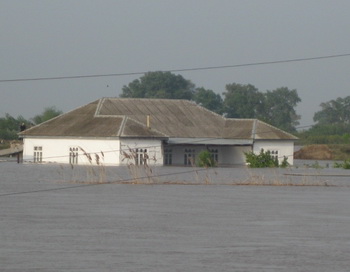 Наводнение на реке Кура, село Мурсалли, Азербайджан. Фото с сайта apa.az