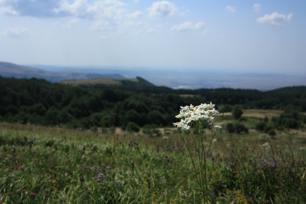 На Долгоруківській яйлі. Фото: Євген Довбуш/The Epoch Times Україна