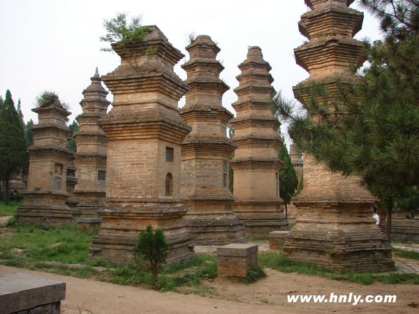 Ліс пагод монастиря Шаолінь (Талін). Фото: hnly.com