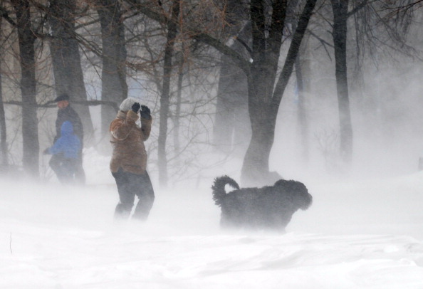 Фото: SERGEI SUPINSKY/AFP/Getty Images