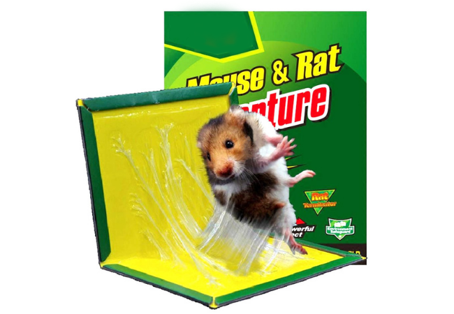 Как вывести мышей из квартиры навсегда