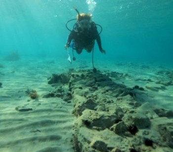 Водолаз проплывает над одной из недавно обнаруженных стен в Павлопетри. Фото любезно предоставлено университетом Ноттингема, Великобритания