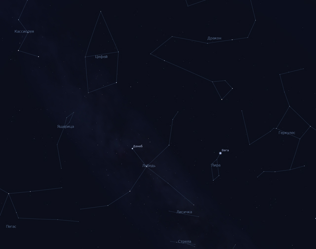 Персеиды лучше всего наблюдать в области созвездий Ящерицы, Цефея и Лебедя. Иллюстрация: Stellarium/biguniverse.ru