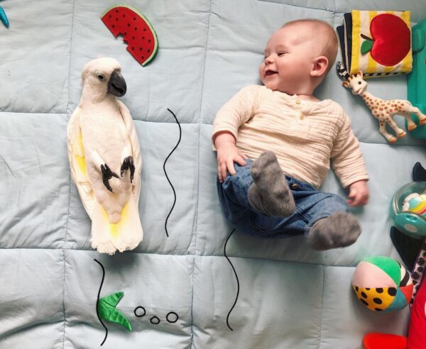 Фото: (Любезно предоставлено @marnithecockatoo и Marni the Cockatoo)