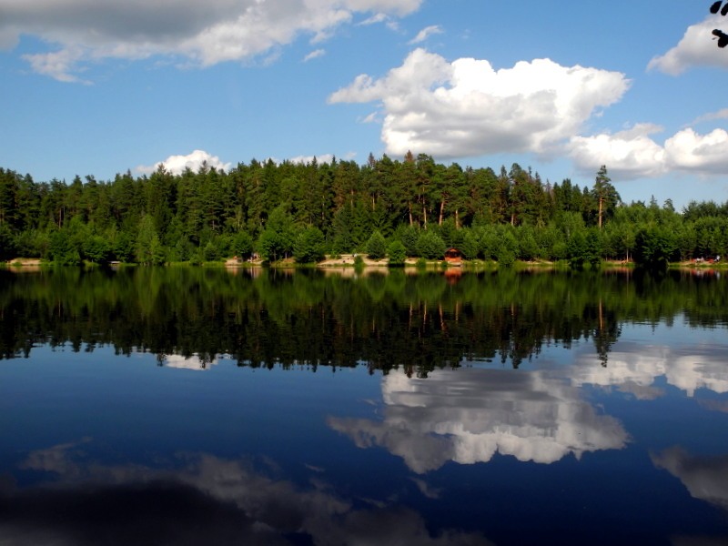 Лесное озеро фото саранск