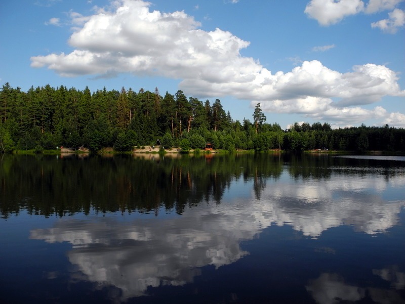 Лесное озеро фото саранск