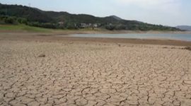 Екстремальна спека в Китаї знищує врожай (ВІДЕО)