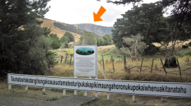 Звичайний пагорб у Новій Зеландії з найдовшою назвою на планеті (ФОТО)