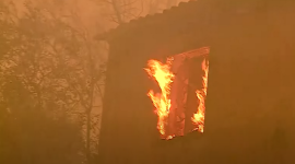 У Португалії під час боротьби з лісовими пожежами загинули троє пожежників (ВІДЕО)