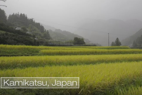 Камікацу: селище, що скоро перероблятиме 100% відходів