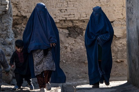 Госслужащих призвали не фотографировать "живых существ" в провинции Афганистана Кандагар