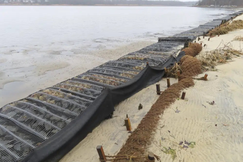 Как кокосовые орехи защищают разрушающиеся побережья