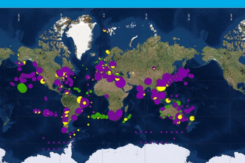 Чем загрязнён океан: учёные составили карту мусорных пятен