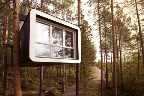 Ландшафтний готель у Швеції розташувався на деревах, де вирують природа та уява (ФОТО)