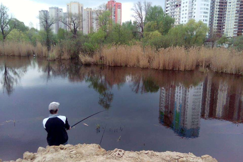 Киевляне призывают спасти озеро Утиное