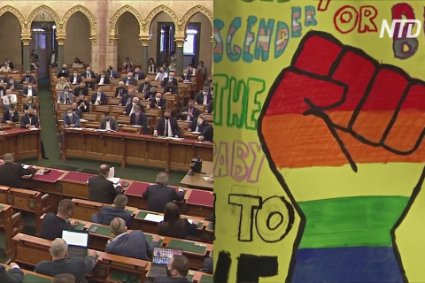 Венгерские депутаты приняли закон о запрете преподавать ЛГБТ-идеи в школах (ВИДЕО)