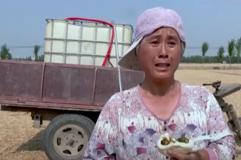 Потрескавшиеся поля довели до слез китайского фермера
