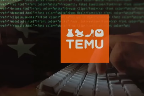 США: штат Арканзас подает в суд на популярный китайский интернет-магазин Temu