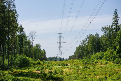 Литва, Латвия и Эстония разработали комплекс мер для отключения от российской энергосистемы