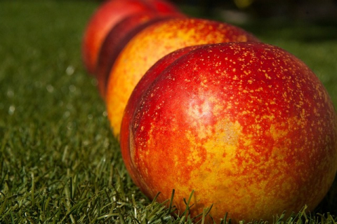 Эликсир здоровья и молодости: чем полезен натуральный яблочный уксус