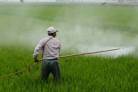 В Германии создали природный пестицид, который не вредит насекомым