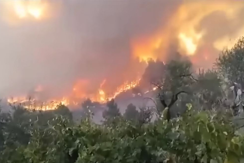 Людей эвакуируют из региона лесных пожаров на испанском острове Ла Пальма