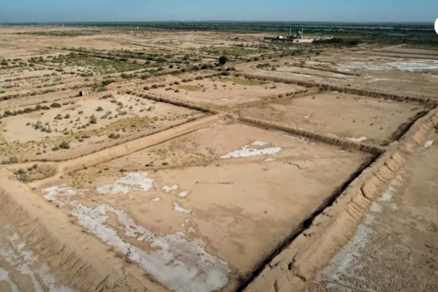 Иракские рыбоводы страдают от нехватки воды