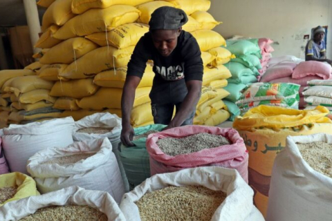 Шесть стран, включая Мали и Буркина-Фасо, могут получить бесплатное зерно от РФ