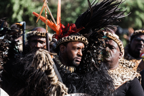Южная Африка: огромная толпа зулусов празднует коронацию своего нового короля