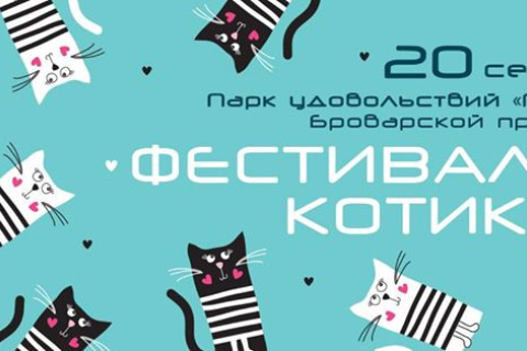У Києві проведуть перший фестиваль котиків