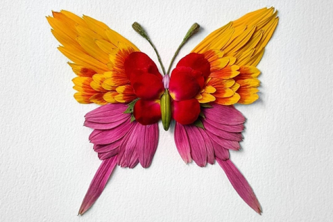Насекомые, созданные из цветов: изысканная красота от Раку Иноуэ