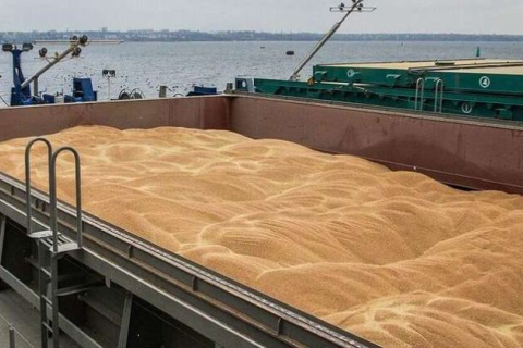 Румыно-французское соглашение об увеличении экспорта украинского зерна: Украина сможет вывозить больше зерна из страны