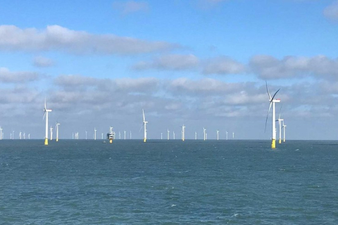 "Это ужас, других слов нет": ужасное визуальное воздействие морской ветряной электростанции в Сен-Назере