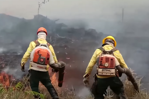 Пожежі в тропічних лісах Амазонки в Бразилії в серпні досягли 14-річного максимуму (ВІДЕО)