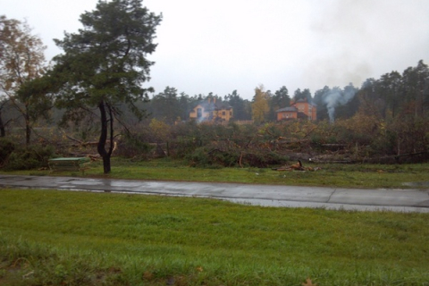 В ночь выборов вырубили 10 гектаров Быковнянского леса
