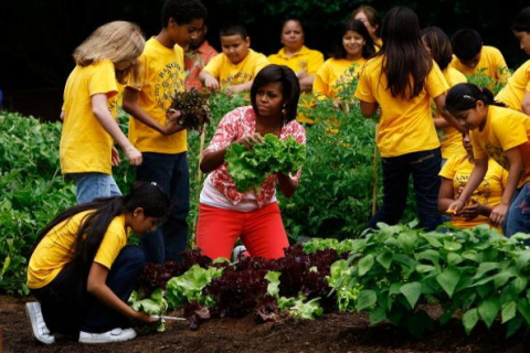 Фотообзор: Первая леди США собирает урожай со школьниками