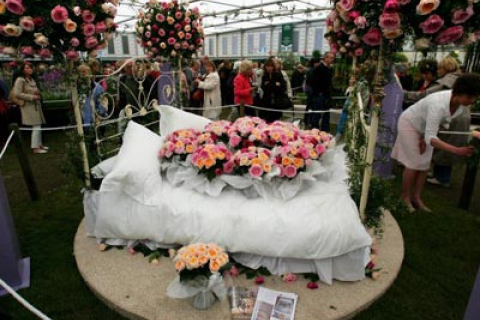 Королевская выставка цветов в Лондоне (фоторепортаж часть 1)