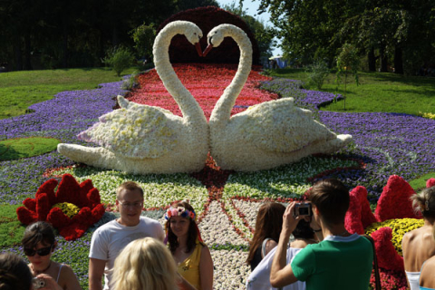 В Киеве открылась выставка цветов