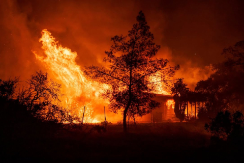 Тысячи человек эвакуированы из-за пожара в Калифорнии, вызванного ветрами пустыни